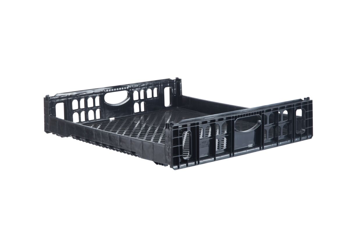 NPL660 Plastic Bakery Tray - ORBIS